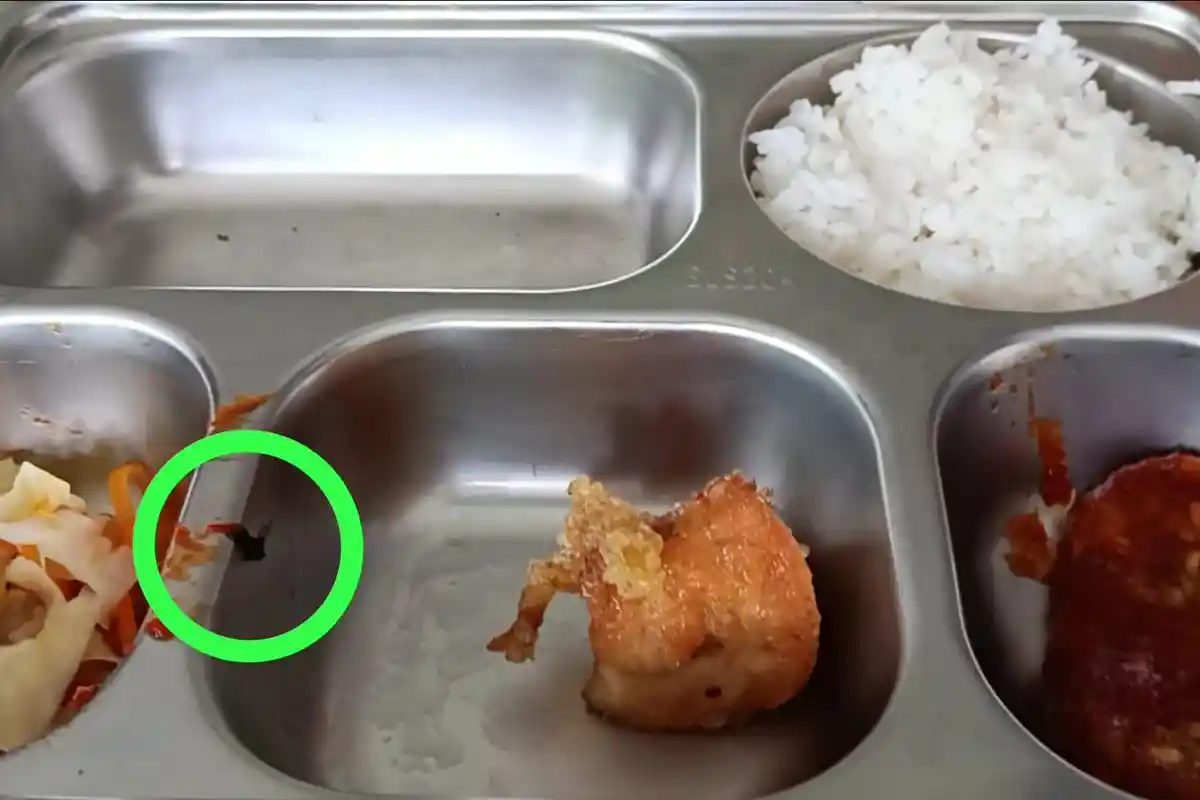 Siswa SMAN 1 Mamuju Temukan Lalat hingga Belatung di Menu Makanan Bergizi Gratis