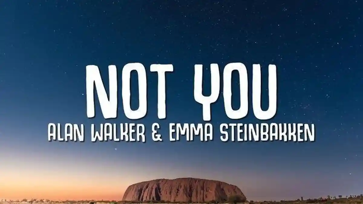 Terjemahan Lagu Not You yang Dipopulerkan Alan Walker ft Emma Steinbakken