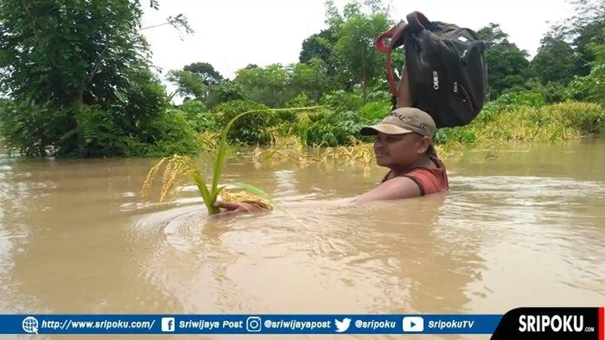 Banjir Disertai Tanah Longsor Terjang Bantul, 26 Desa Terendam Banjir, 9 Desa Terdampak Longsor
