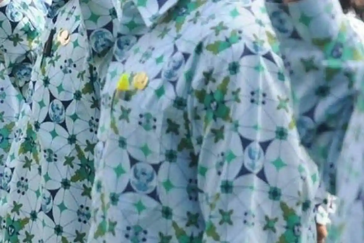 Benarkah Ada Lowongan CPNS 2019? Ini Penjelasan BKN Termasuk Pendaftaran PPPK & Update CPNS 2018