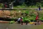 petani-sayur-mencuci-sayur-hasil-paninnya-di-kali-citarum_20200915_173622.jpg