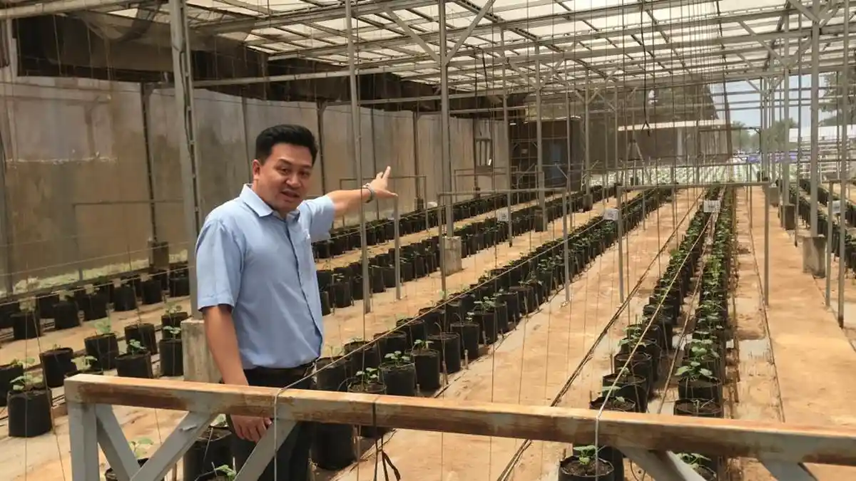 PT Tunas Agro Persada Dapatkan Bibit Lokal Berkualitas hingga Bersaing di Pasar Internasional