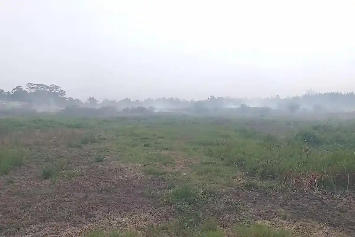 Sudah Sepekan, Kebakaran Lahan di Kota Bengkulu Belum Padam, Titik Api Mendekati Pemukiman