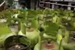 Pembatasan Gas Tiga Kilogram