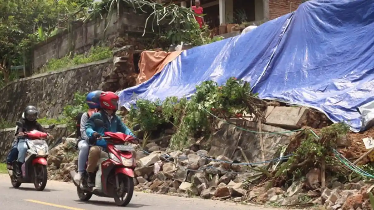 Akibat Hujan Deras, Tembok Penahan Jalan di Trenggalek Longsor, Ancam Jalan Nasional