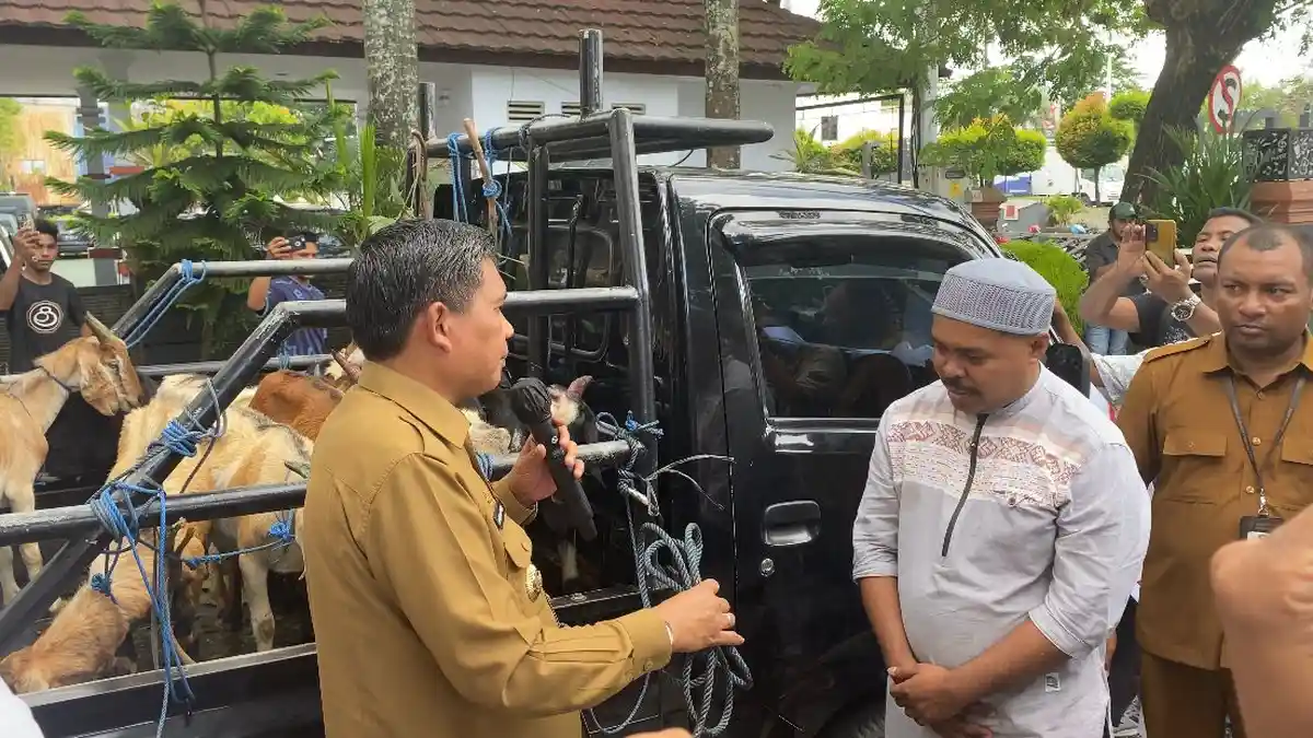 Idul Adha 2023, Pemkot Ambon Salurkan 70 Hewan Kurban