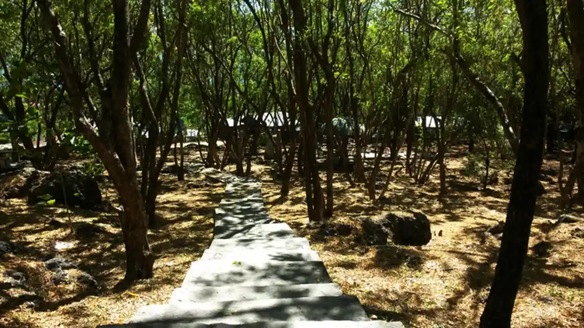 Gua Monyet Kupang, Bekas Penangkaran Penjajah Jepang