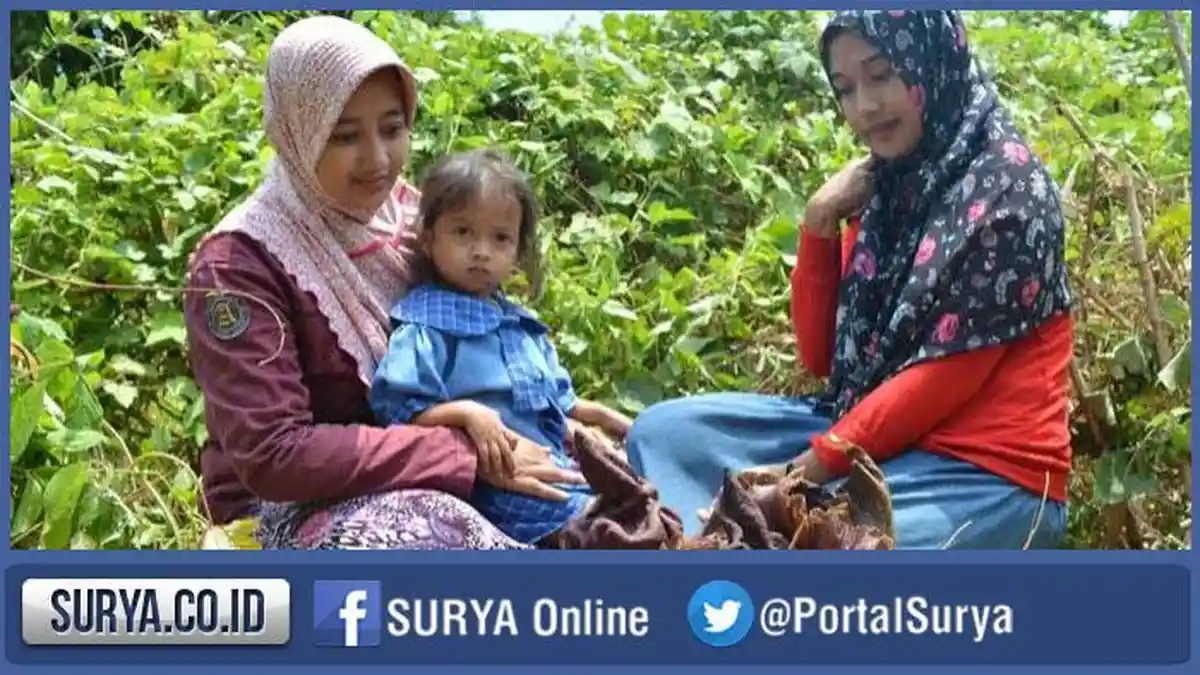 Dikira Bau Mayat, Ternyata Bunga Bangkai Tumbuh di Belakang Rumah
