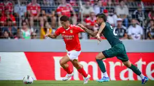 Prediksi-skor-Benfica-vs-Brentford-di-laga-uji-coba-pra-musim.jpg