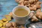 Opini-obat-herbal.jpg