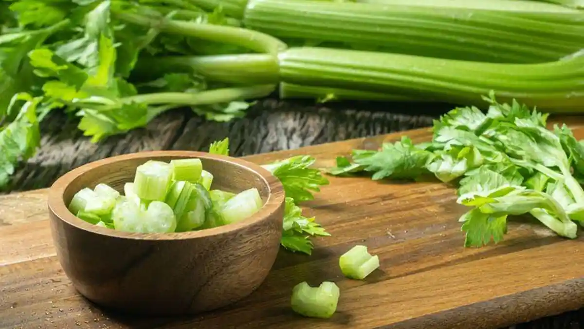 Berikut 12 Manfaat Daun Seledri Sebagai Menu Diet, Salah Satunya Melancarkan Sistem Pencernaan