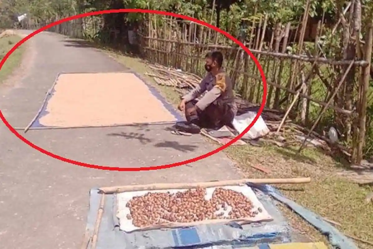 Cerita Brigadir Miswandi, Polisi di Aceh yang Rela Jaga Jemuran Gabah Agar Warga Bisa Pergi Vaksin