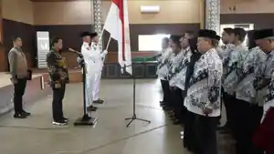 pgrisumedsumed.jpg