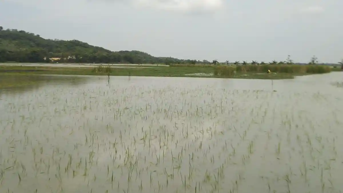Akademisi UMK Ingatkan Potensi Bencana di Kudus, Intensitas Hujan Sudah Mulai Tinggi