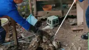 ular-piton-berukuran-sekitar-10-kilogram-ditemukan-di-kandang-ayam-milik-warga-di-Dusun-Tempursari.jpg