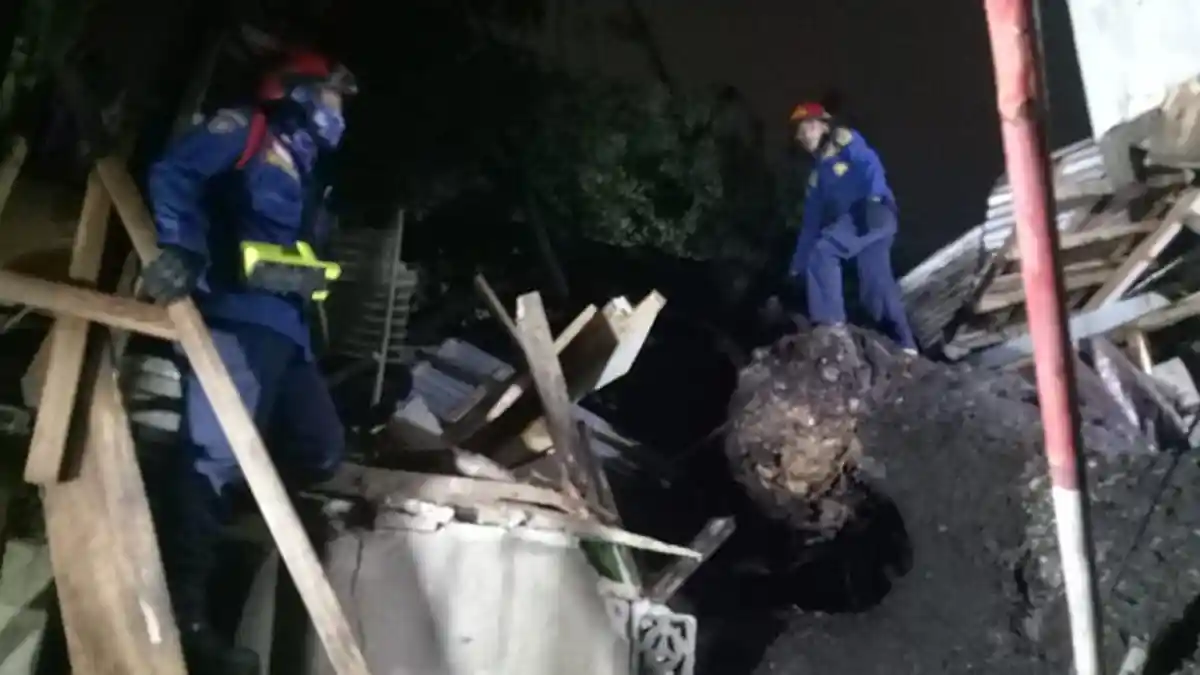 Pohon Tumbang Dua Hari Berturut-turut di Jakarta Timur Menimpa Rumah Warga