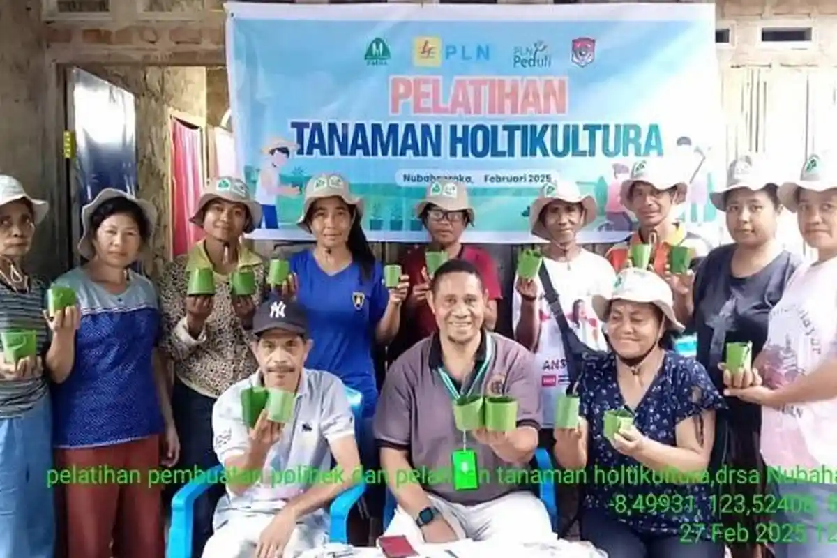 Sambut Idul Fitri, PLN dan Kelompok Tani Nubahaeraka Panen Bersama dan Perkuat Program CSR