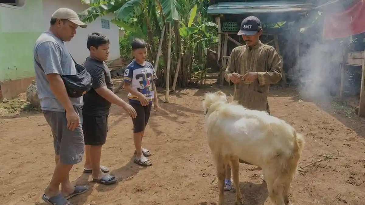 Niat Shabil Bocah 9 Tahun Berkurban Terwujud, Hasil Menabung Sehari Rp3.000