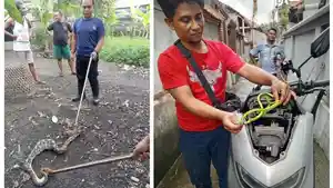 Selasa-27-Mei-2025-Ist.jpg