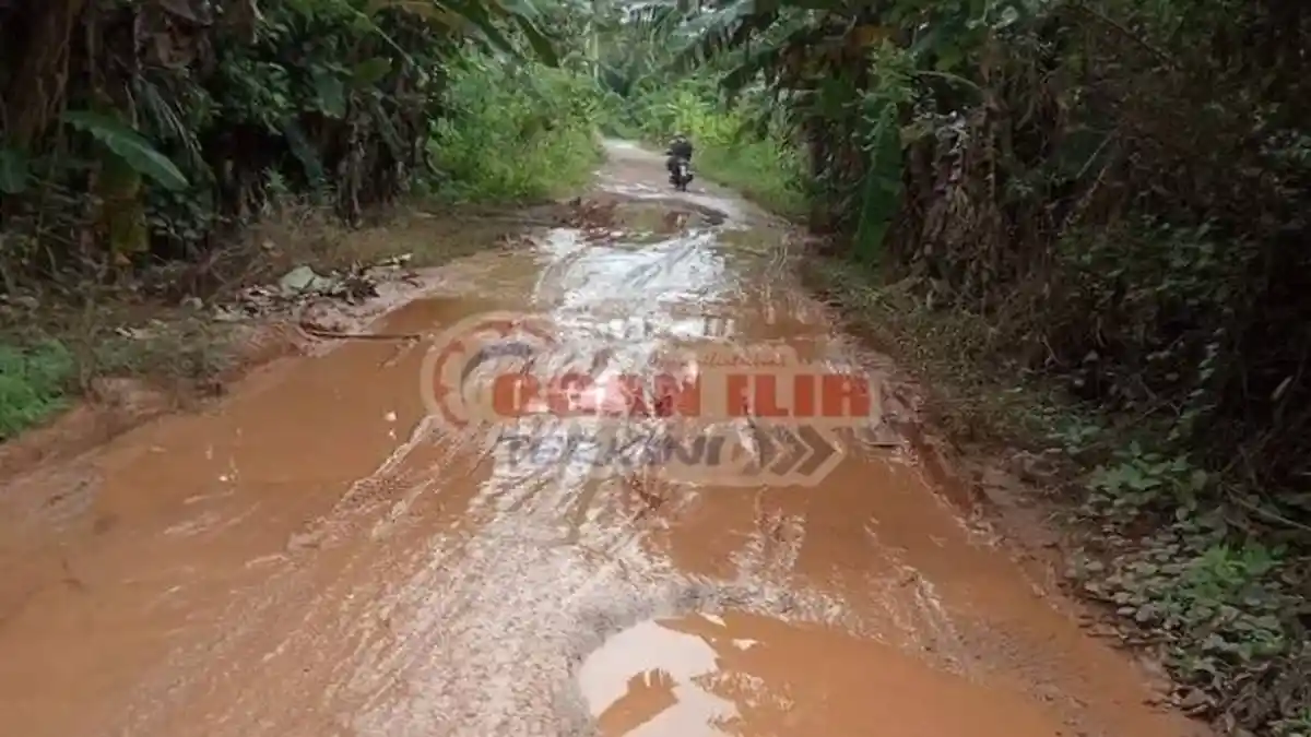 Jalan dan Jembatan di Ogan Ilir Tidak Semulus Jalan Tol, Begini Kondisinya