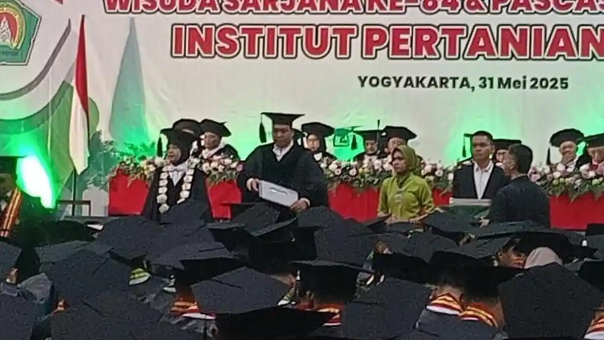 INSTIPER Yogyakarta Gelar Wisuda, Luluskan 331 Mahasiswa Sarjana dan Pascasarjana