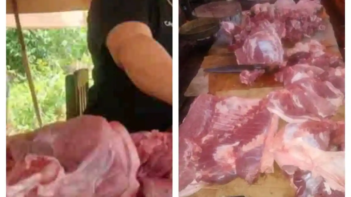 Tidak Masuk Akal Kalau Hanya Ada Dua Titik Penjualan Daging Non Halal di Medan, Cek Kondisi Wilayah