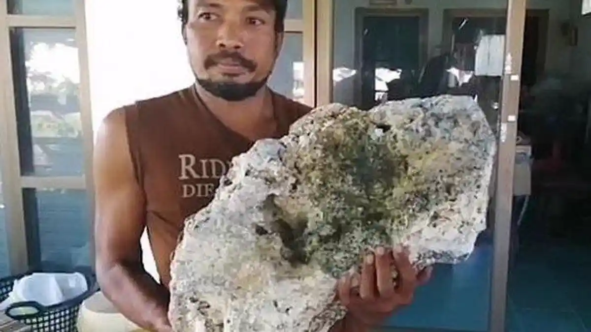 Dikira Batu Biasa Saat Mengais Sampah di Pantai, Pemulung Ini Temukan Benda Seharga Rp 9 Miliar