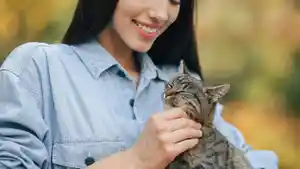 Hewan-pelihara-kucing.jpg