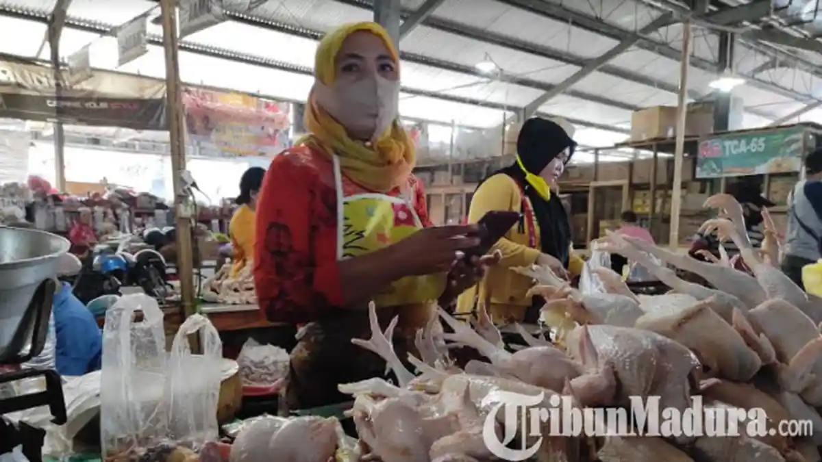 Monitoring Harga Komoditi Jelang Ramadan, Harga Daging Ayam Broiler Meroket, Cabai Rawit Turun