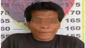 GT-Pali.jpg