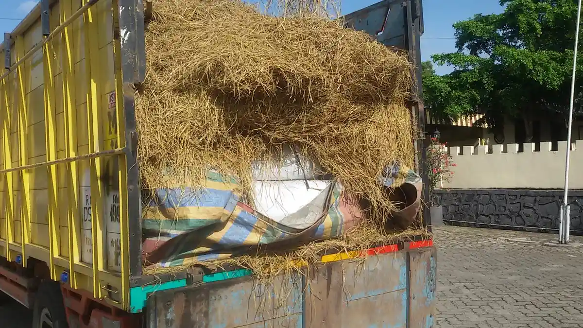 Pengiriman 3 Ton Daging Celeng Asal Lahat Digagalkan, Sopir Coba Kelabui Petugas dengan Ini