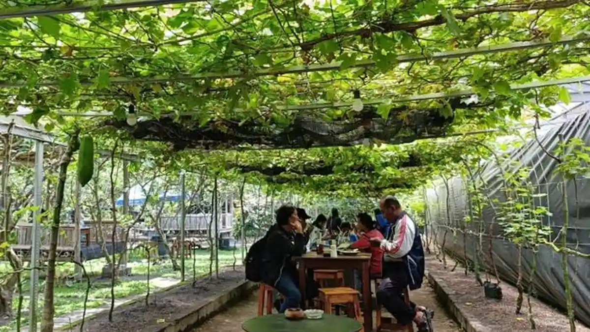 Suasana Adem Kebun Anggur di Warung Rindang Rasa Kota Blitar, Nasi ...