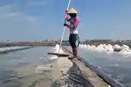 menggarap-lahan-pertanian-garam-di-desakecamatan-krangkeng.jpg