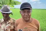 Kata Petani Soal Ribuan Ular yang Dilepaskan Bupati Lucky Hakim di Sawah Indramayu