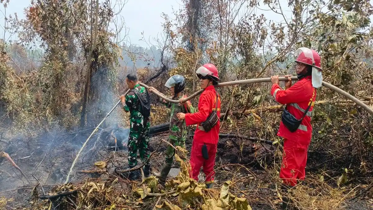 Karhutla di Anjungan Dalam Mempawah, Babinsa dan Tim Gabungan Gerak Cepat Padamkan Api