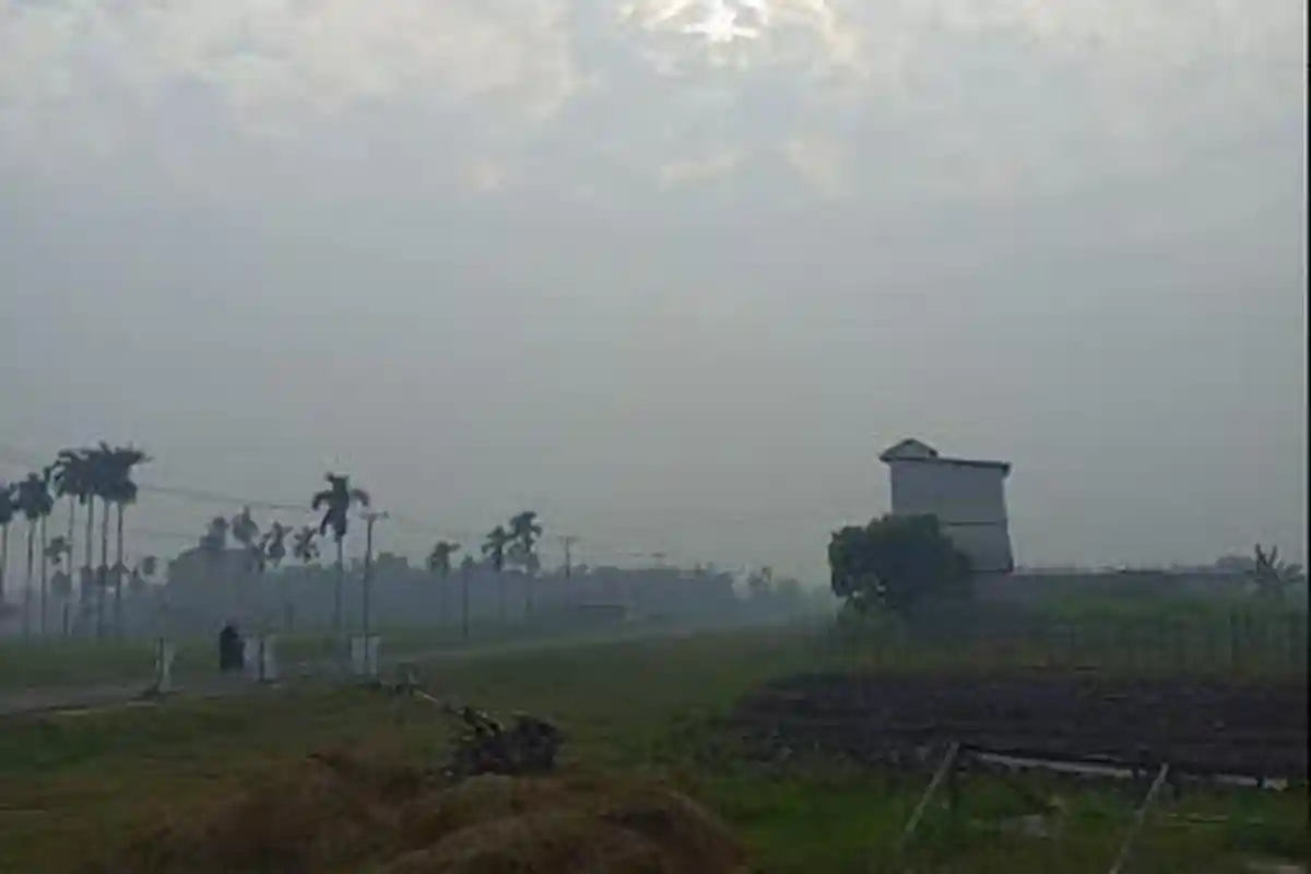 Kabut Asap di Tanjabtim Semakin Pekat, Warga Khawatir Berdampak pada Kesehatan