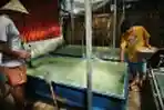 Penangkaran Kuda Laut Pulau Badi