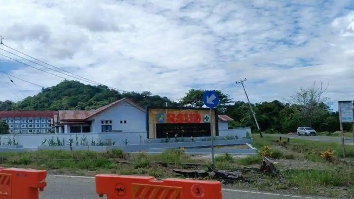 Sudah 5 Kasus DBD di Bolmong Sejak Awal Januari 2025, Begini Keadaan Pasien