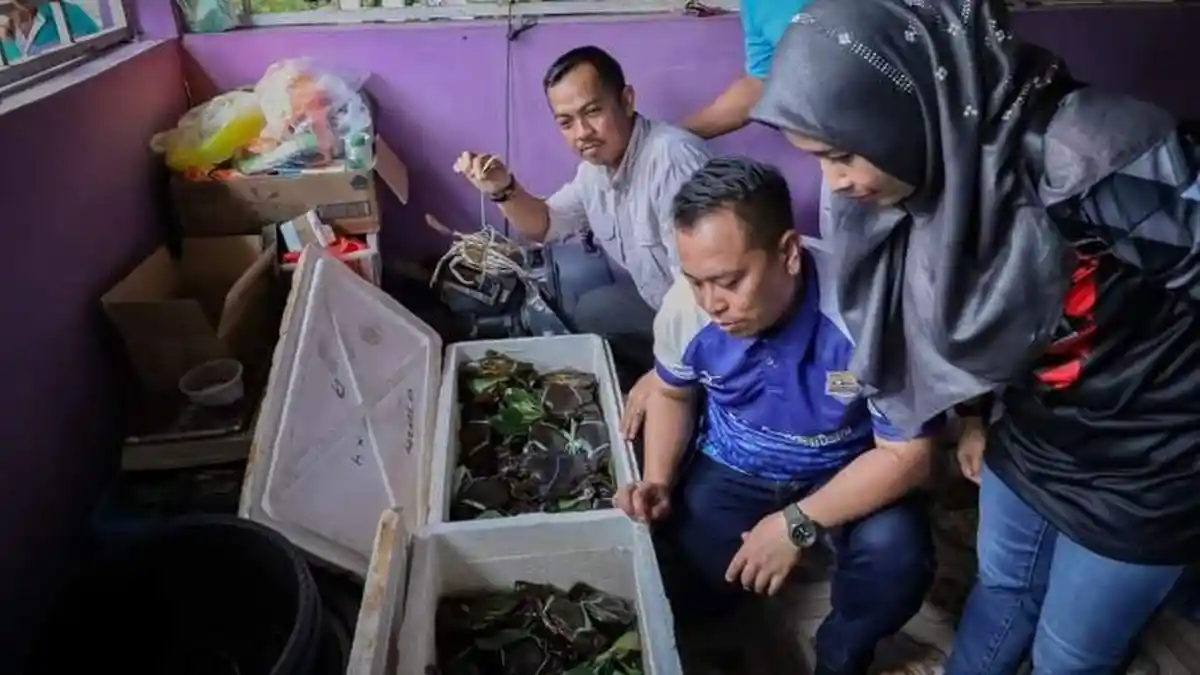 Bupati Lingga Lihat Langsung Tambak Kepiting Bakau di Desa Duara dan Kelumu