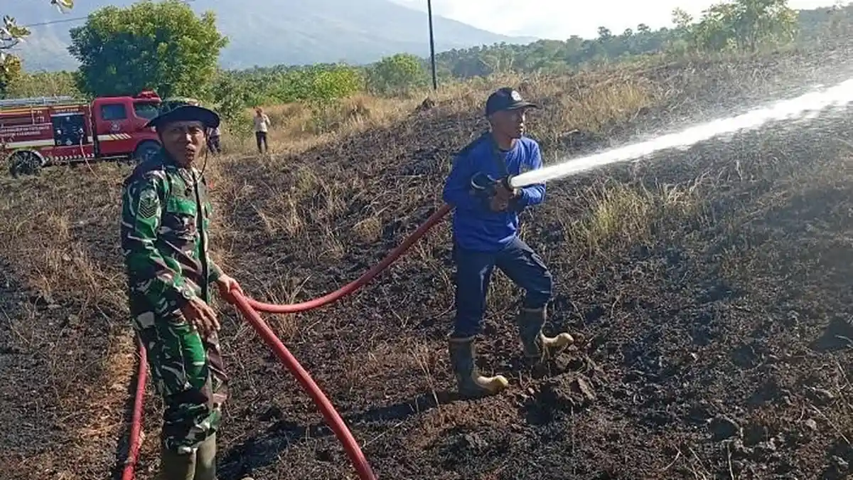 Lahan Seluas 4 Hektare Terbakar Hanguskan Perkebunan Warga di Kubu, Ancaman Kemarau di Karangasem - Tribun-bali.com