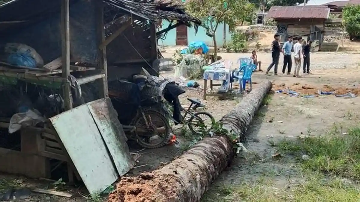 Tragis, Suriati dan Anaknya yang Balita Tewas Tertimpa Pohon Sawit yang Sekian Lama Diracun
