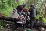 Pohon Tumbang Halangi Jalan Kabupaten menuju Rahong Utara