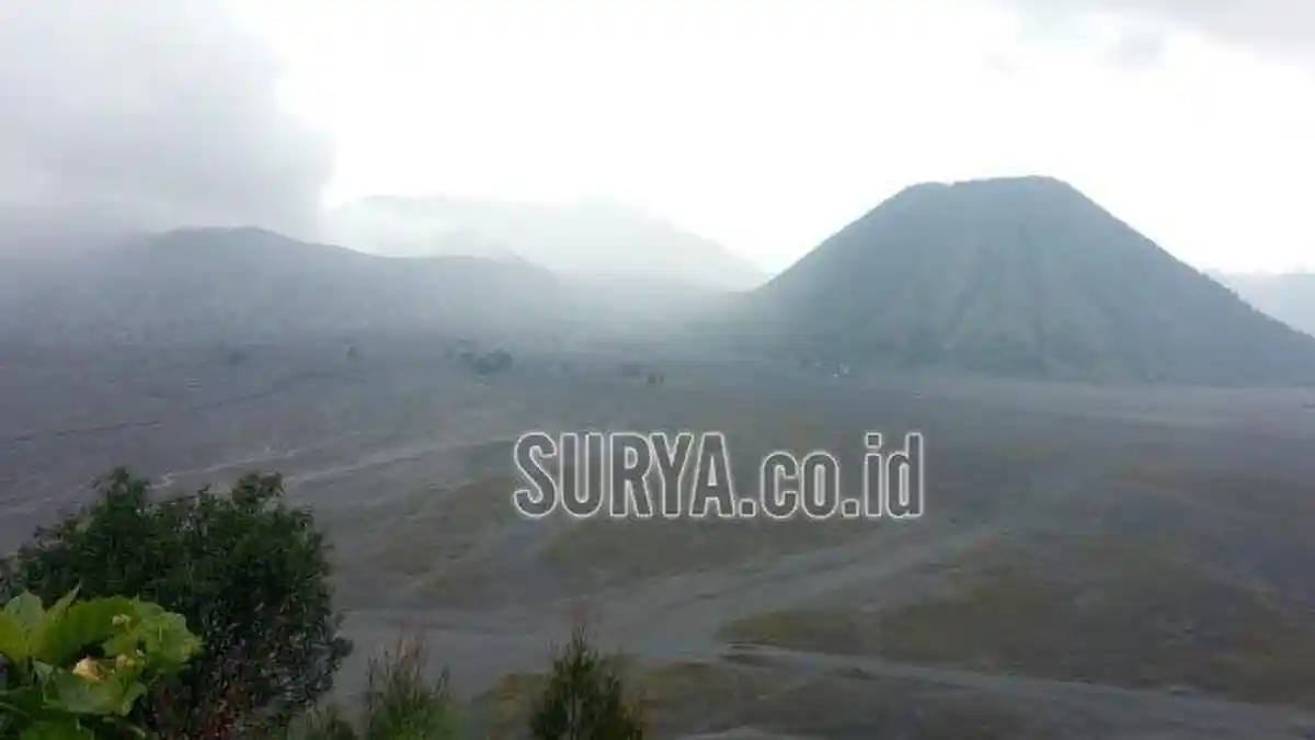 BPBD Malang Masih Cari Wisatawan yang Diduga Hilang di Taman Nasional Bromo
