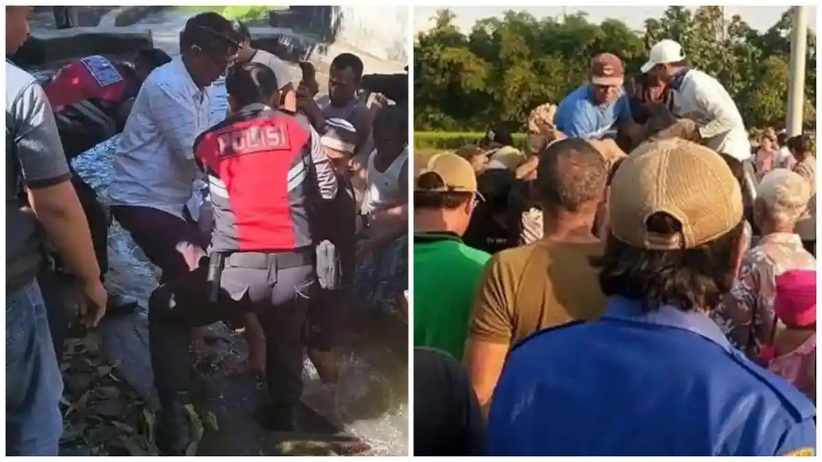 Dua Nyawa Melayang dalam Sehari di Bali, Pengendara Motor Hanyut dan Buruh Jatuh ke Sumur 12 Meter - Tribunnews.com