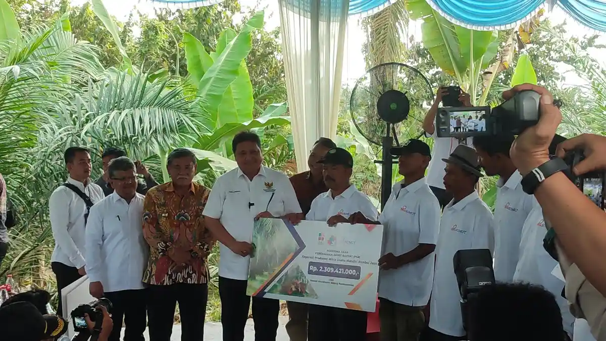 Realisasi Dana Bantuan ke Patani Sawit Rendah, Airlangga Dengarkan Kendala Petani di Deli Serdang