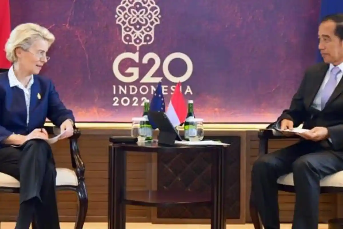 Apa Itu Just Energy Transition Partnership? Hasil KTT G20 yang Ambigu karena Perpres 112 Tahun 2022