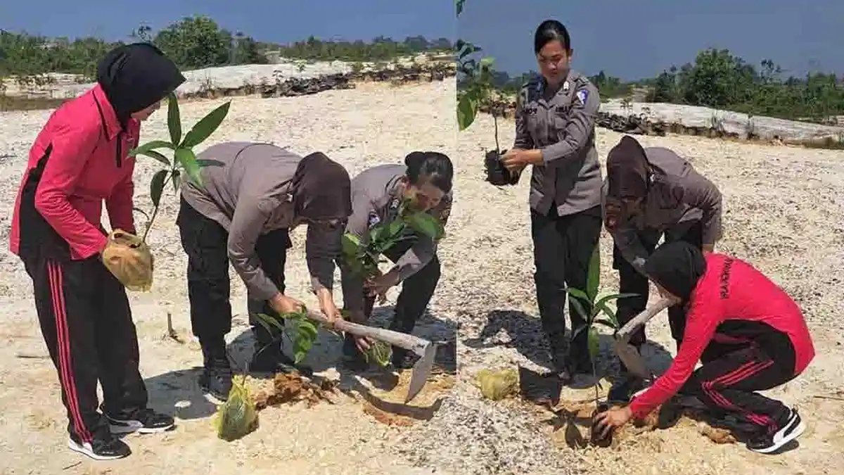 Sambut HUT ke-77, Polwan Polres Sekadau Tanam Pohon di Belitang Hilir