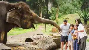 Taman-Safari.jpg