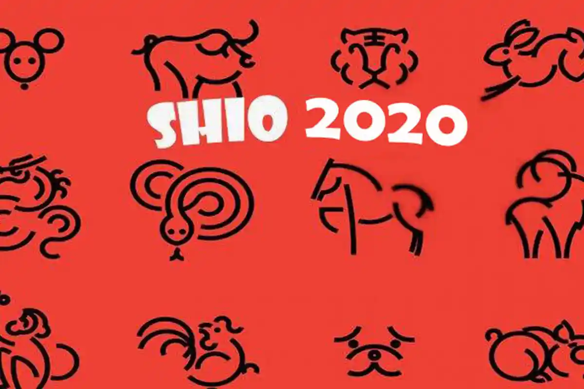 Ramalan Shio Babi Tahun 2020, Hindari Warna Ini Karena Berdampak Sial Bagimu