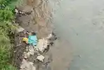 Ada Bangkai Babi di Bawah Jembatan Tagari Toraja Utara, Berpotensi Cemari Sungai Sumber Air PDAM